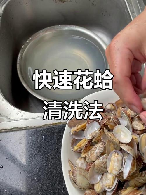 花蛤怎么吐沙最干净_活花蛤温水泡,快速吐沙肉质鲜 花蛤怎么吐沙最干净_活花蛤温水泡,快速吐沙肉质鲜