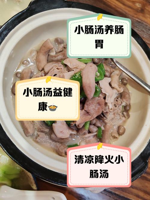 酸辣小肠汤的做法_家常美味做法分享 酸辣小肠汤的做法_家常美味做法分享