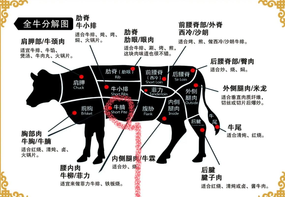 牛肋条就是牛腩吗_肋条肉嫩烤炖，牛腩香卤久