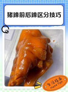猪蹄怎么分前后蹄图解_如何区分前后猪蹄？看弯曲小孔颜色！