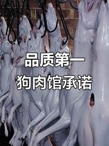 狗肉为什么叫香肉_狗肉香浓驱寒，冬日滋补美食？