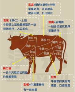牛柳是牛的哪个部位图_牛肉部位挑选与烹饪技巧