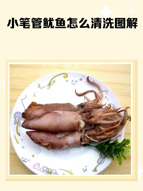 小鱿鱼怎么处理干净_清洗鱿鱼用盐醋去墨,晾干防虫易保存 小鱿鱼怎么处理干净_清洗鱿鱼用盐醋去墨,晾干防虫易保存