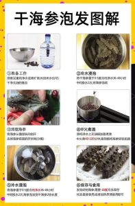 快速泡发海参最简单的方法_纯净水泡海参，一天快速发好，简单易学！