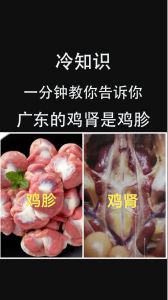 鸡胗是鸡的什么部位_营养好，嘌呤高，烹饪多样