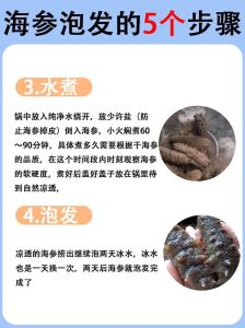 怎样发海参正确泡发方法_干海参冷水慢炖泡发，口感营养佳
