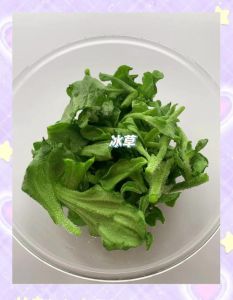 凉拌冰草的做法_清爽凉拌冰草，健康美味简单做！