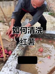 红薯汁弄手上怎样洗下来_沾染红薯汁？清水洗洁精，药膏舒缓顽固用洗衣液牙膏