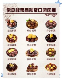 糖炒栗子的做法_冰糖慢炖空气炸，香甜粉糯超简单！