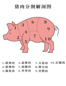 猪腱子肉部位图解_酱卤猪腱子肉，嚼劲十足，下酒佳肴！