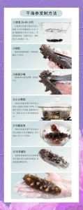 海参泡发家常做法_挑选优质干海参，无油泡发步骤详解
