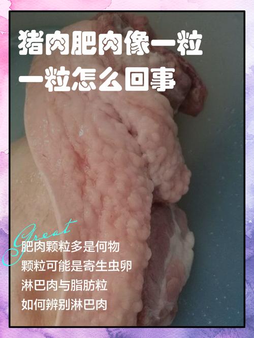 猪肥肉里有肉球图片_猪肉肉球引争议？企业称疫苗脓包，食安需重建信任