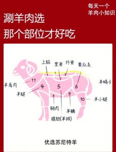 涮羊肉应该吃哪里的肉_上脑肋排后腿里脊肩肉