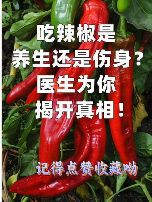 为什么四川人经常吃辣的没事_四川人吃辣不怕痔疮,秘诀在此 为什么四川人经常吃辣的没事_四川人吃辣不怕痔疮,秘诀在此