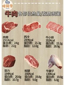 牛筋脂肪含量高吗_牛筋低脂高蛋白，搭配维C好吸收