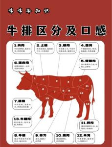 牛的各个部位图解_牛肉不同部位做法不同，风味各异