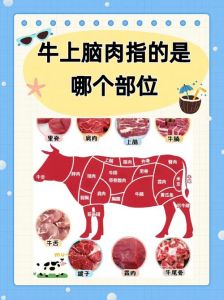 牛上脑肉部位图解_鲜嫩多汁，上脑边做法多