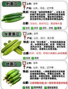 黄瓜又叫什么瓜_清爽解渴营养好