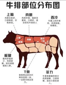牛排用的牛的那个部位_牛排部位不同，口感各异！