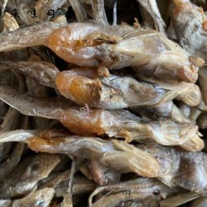 海鲶鱼和胖头鱼区别_海鲶鱼和胖头鱼，两种不同鱼的区别