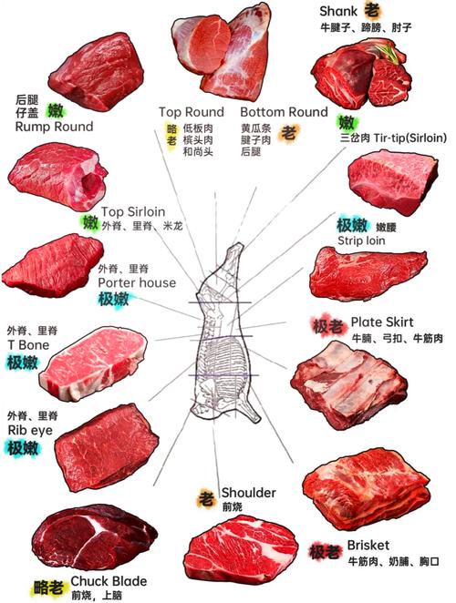 牛展肉部位大全图解_牛腱炖煮好食材,部位不同做法妙 牛展肉部位大全图解_牛腱炖煮好食材,部位不同做法妙