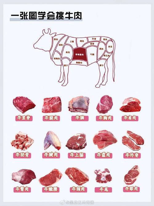 牛脊肉属于哪个部位_牛脊肉做法全攻略,嫩滑美味这样吃! 牛脊肉属于哪个部位_牛脊肉做法全攻略,嫩滑美味这样吃!