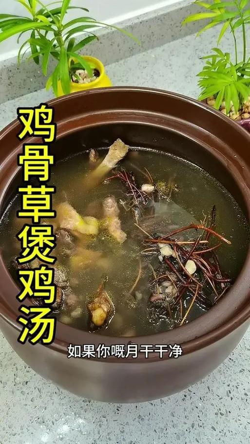 鸡骨草的家常做法_鲜甜滋补,搭配有方! 鸡骨草的家常做法_鲜甜滋补,搭配有方!