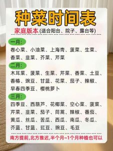 北方什么时间种油菜_春播秋播看气候，选对种子勤管理