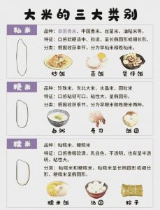 南方主食和北方主食_米饭与面食主食大不同