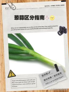 北方菜为什么口味浓重爱吃葱蒜_北方菜爱放葱蒜，驱寒增营养！