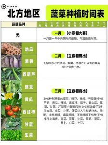 北方油菜种植时间_北方油菜春秋播种及种植管理要点