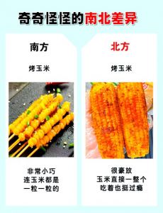 南北饮食差异都有啥_口味主食大