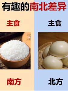 春节南北方饮食差异_饺子汤圆，口味各异情意浓