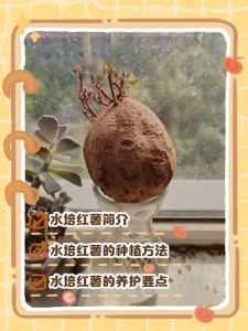 手有红薯汁洗不掉怎么办_水泡+肥皂，顽固污渍用盐或小苏打