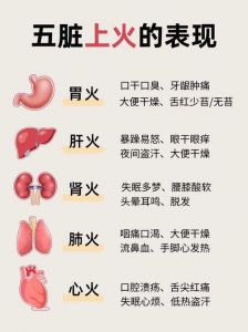 火候饮食文化起源于哪里_鲁菜之源，煤炭烹饪技艺