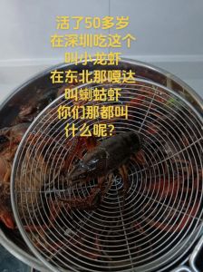 蝲蛄和小龙虾是近亲吗_清洁溪流珍品蝲蛄，鲜嫩营养价值高