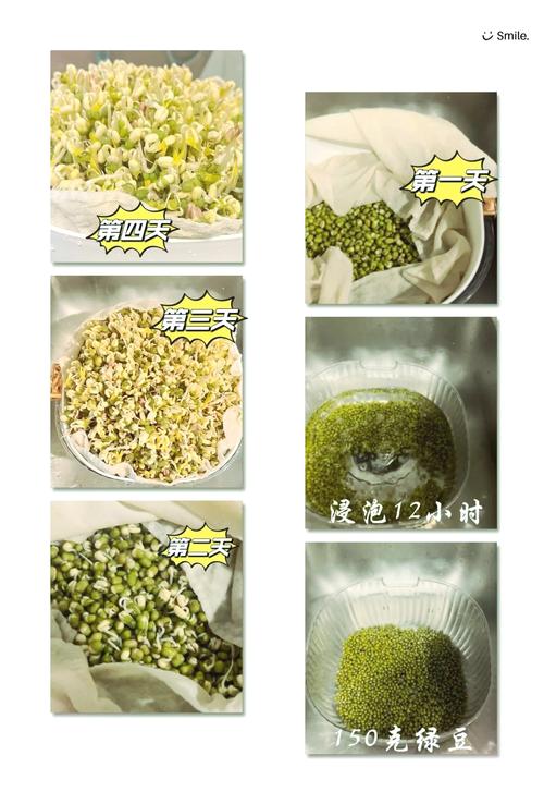 豆芽焯水几分钟能熟_豆芽焯水多久？1-2分钟看种类保脆嫩