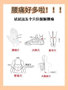 腰的准确位置示意图_区分肋骨肌肉与肾脏问题