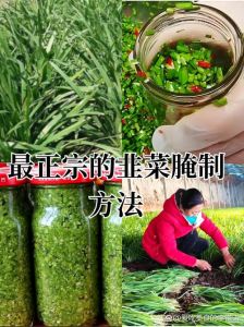 洗过的韭菜怎么保存过夜_韭菜洗后巧保存，别过夜也美味