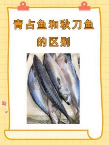 秋刀鱼算深海鱼吗_秋刀鱼近海美味，富含营养
