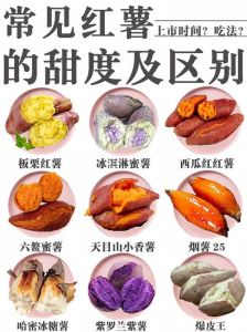 红薯和地瓜是一个吗_红薯和地瓜的区别