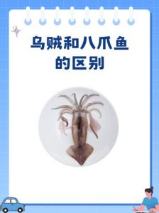 墨鱼和乌贼是同一种鱼吗_墨鱼乌贼怎么区分？白灼红烧有讲究