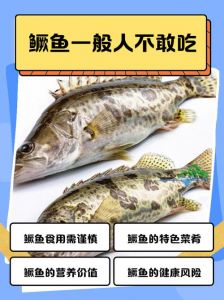 桂鱼与鳜鱼一样吗_鳜鱼就是桂鱼，常见淡水名贵鱼