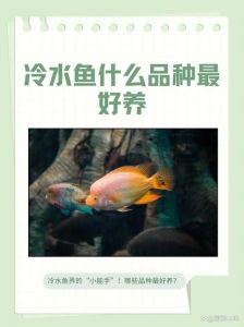 什么冷水鱼繁殖得快_速成需攻难关