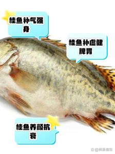桂鱼就是鳜鱼吗_桂鱼鳜鱼是同种鱼，鳜鱼是正式名，桂鱼是俗称，美味佳肴