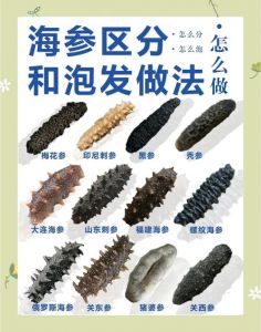 海参怎么泡发正确方法图片_选对好料，涨3倍Q弹！