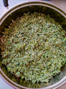 苜蓿菜疙瘩的做法_控油碱，揉面蒸，蒜醋辣椒油蘸