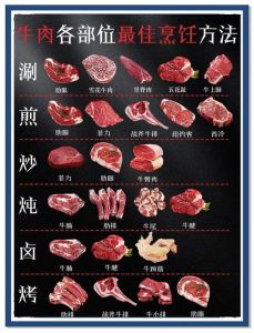 生牛肉的做法大全_生牛肉嫩滑做法，安全美味食谱