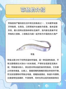 带鱼为什么没有活的_高压生存难，养殖成本高