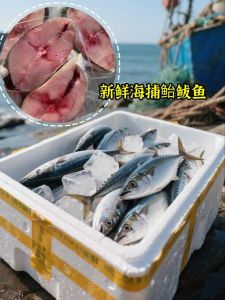 青占鱼是深海鱼吗_营养美味，食用注意新鲜度